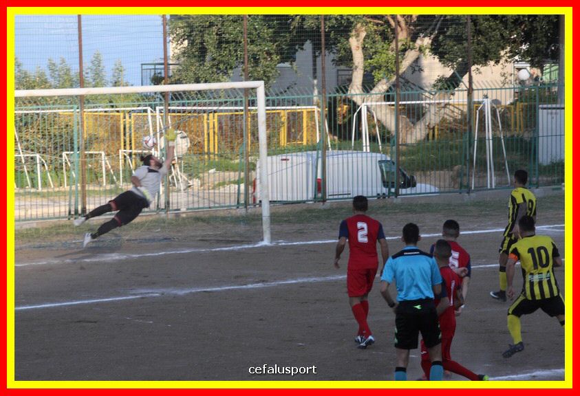 181111 Cepha_Milazzo 163_tn.JPG